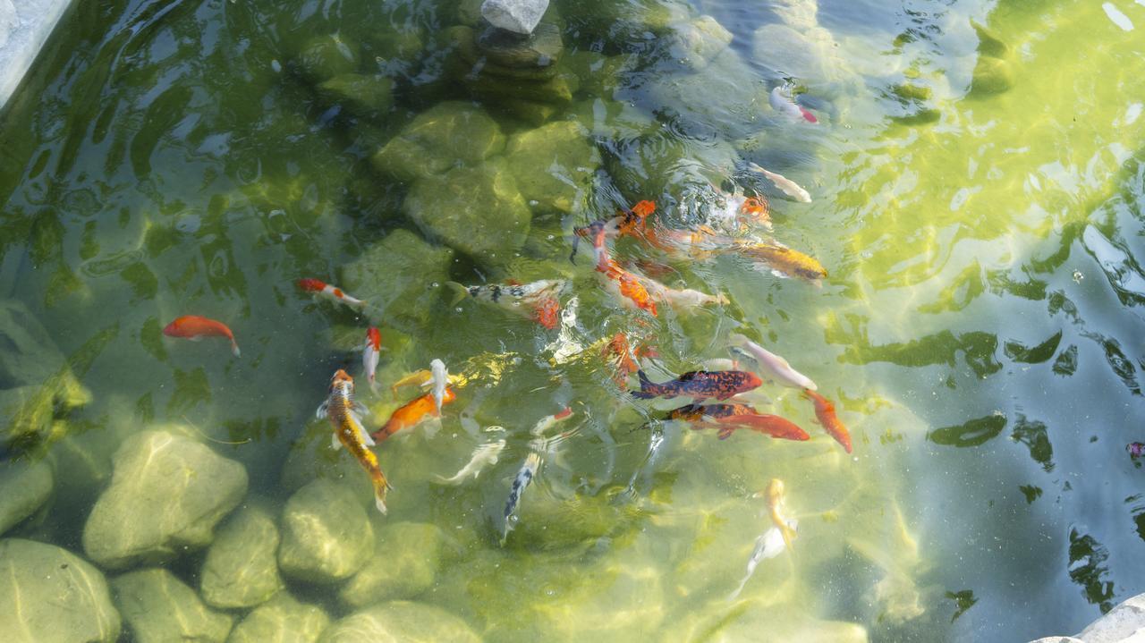 Pisces Garden B&B Checheng Dış mekan fotoğraf
