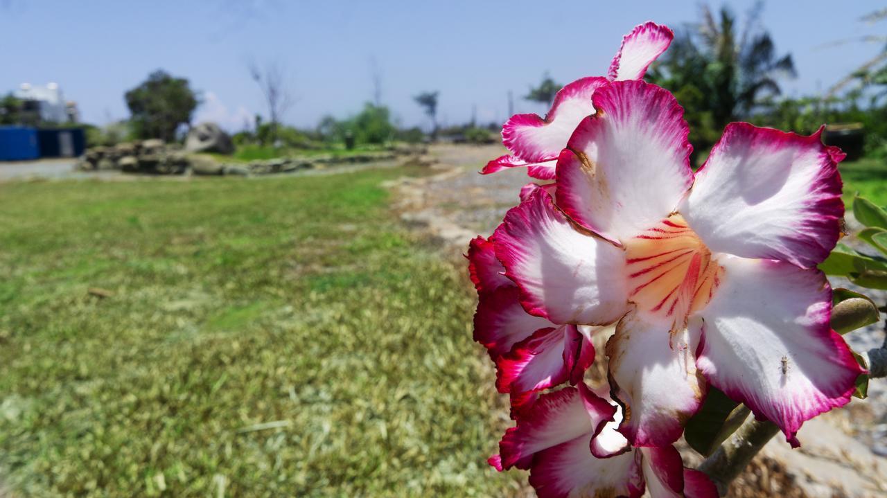Pisces Garden B&B Checheng Dış mekan fotoğraf
